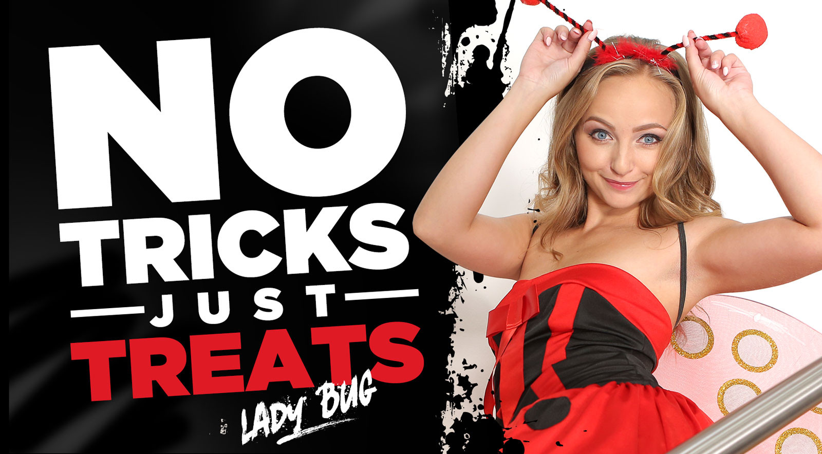 No Tricks, Just Treats: Lady Bug Slideshow